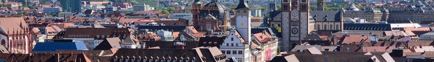 Blick auf Würzburg und u.a. den Kiliansdom